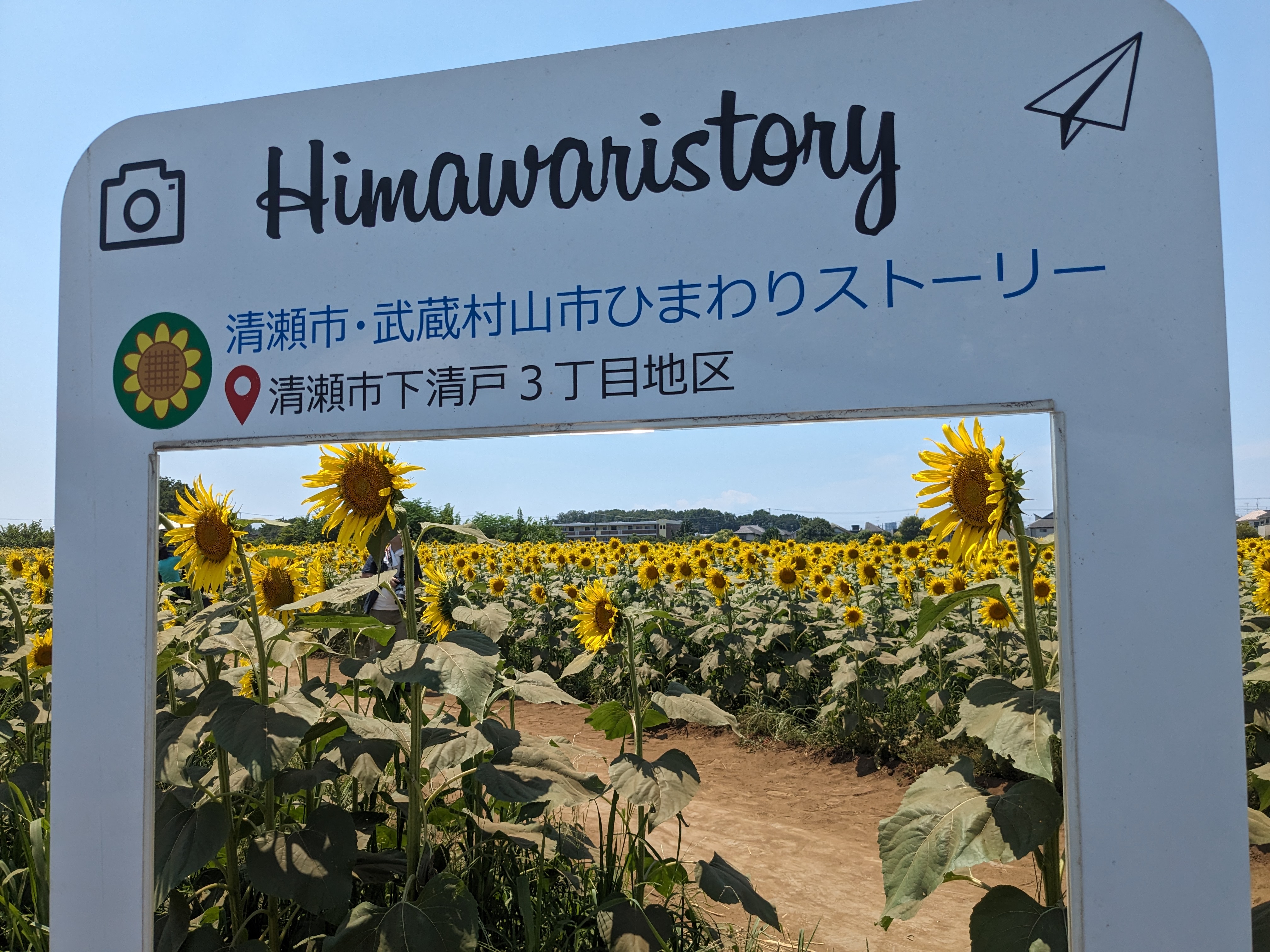 ひまわり畑に設置されているフォトフレーム